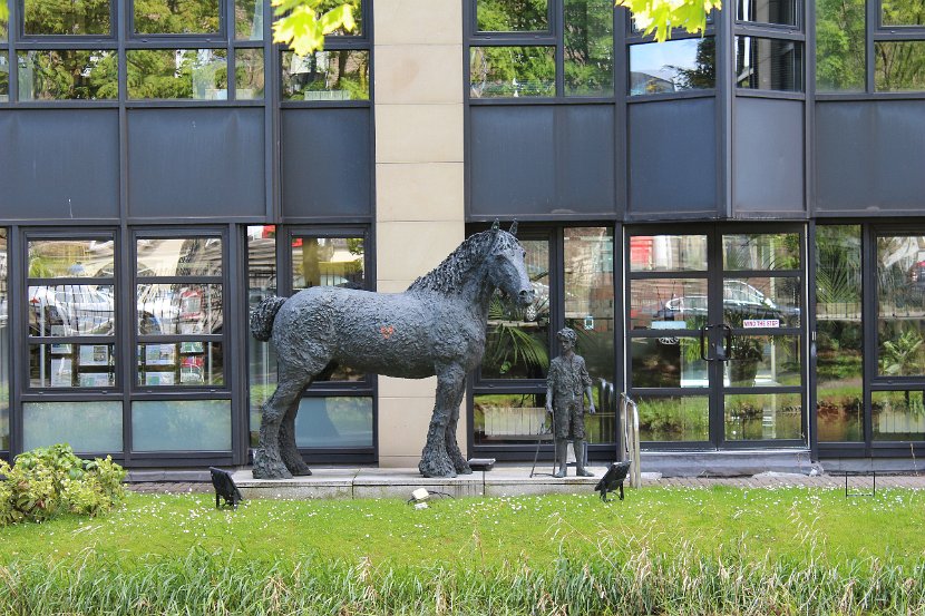 Barge Horse at Herbert Place in the Grand Canal Area of Dublin